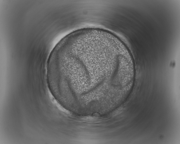 X0000111661287200908071424