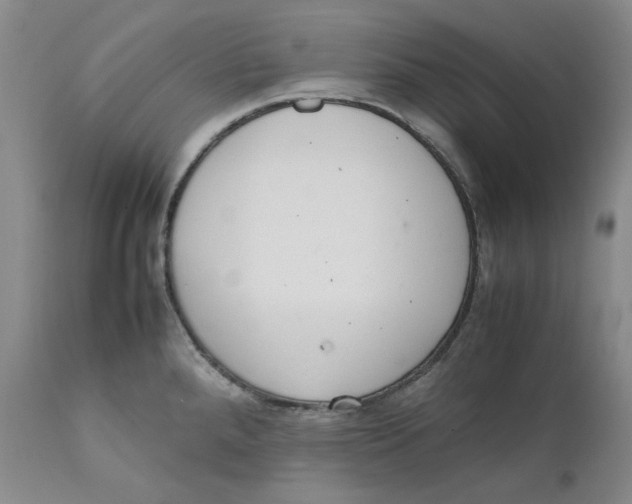 X0000111661288200908071424