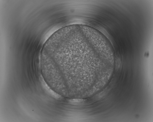 X0000111661290200908071424