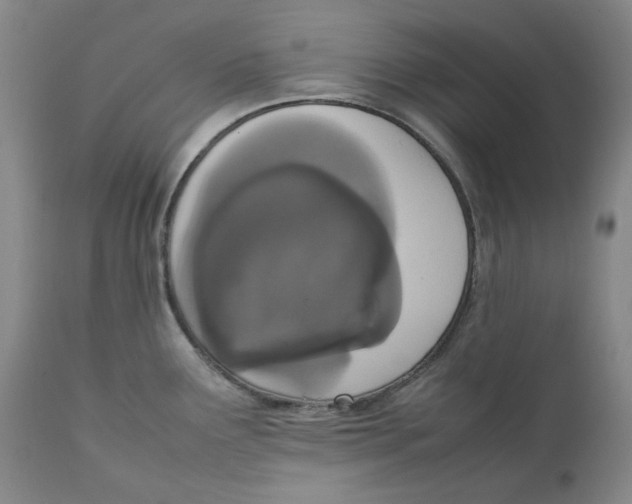 X0000111661291200908071424