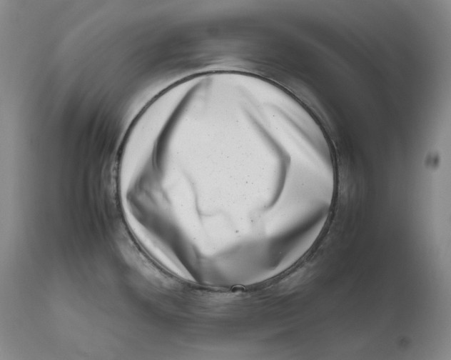 X0000111661292200908071424