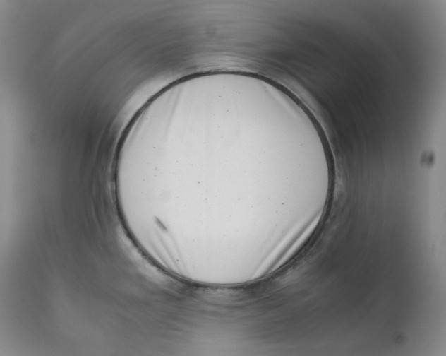 X0000111661293200908071424