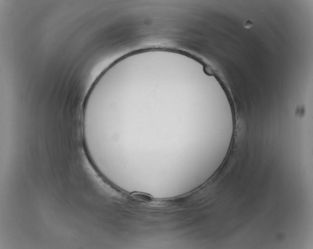 X0000111661295200908071424