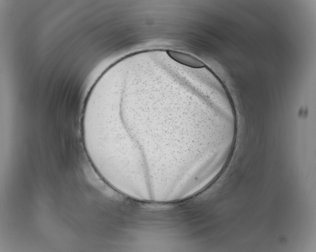 X0000111661296200908071424