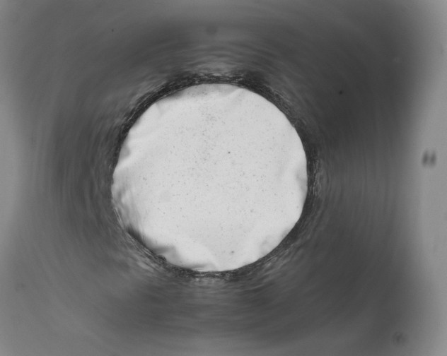 X0000111661297200908071423