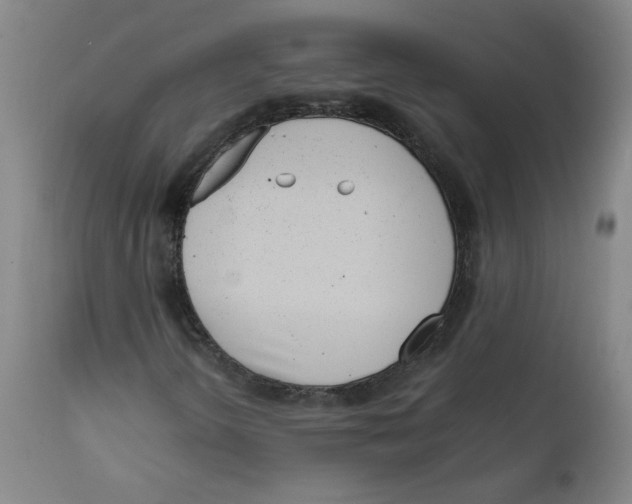 X0000111661298200908071423