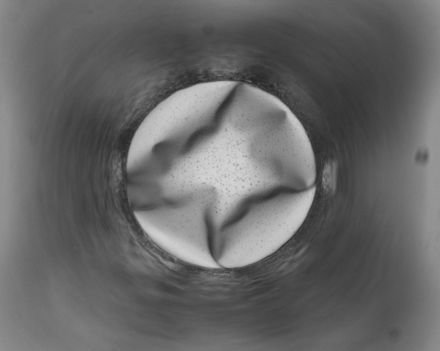 X0000111661299200908071423