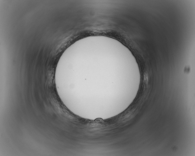 X0000111661300200908071423