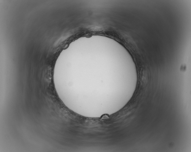 X0000111661301200908071423