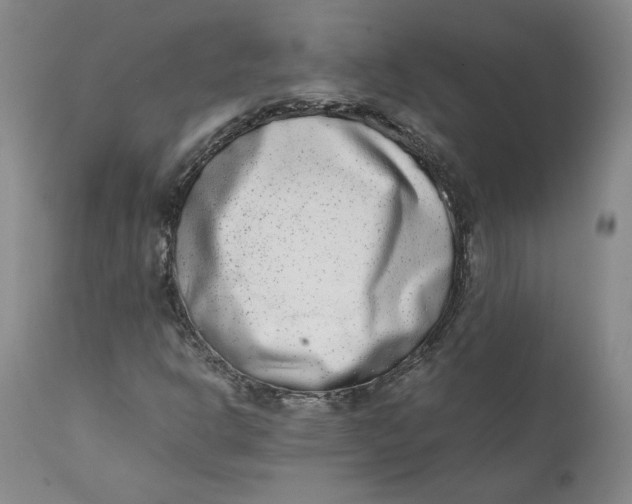 X0000111661302200908071423