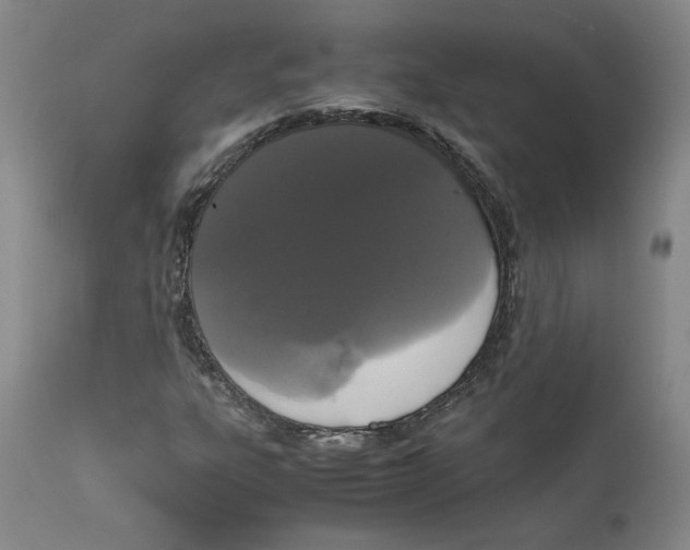 X0000111661303200908071423