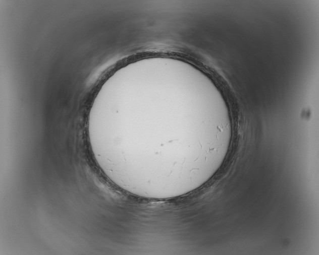 X0000111661304200908071423