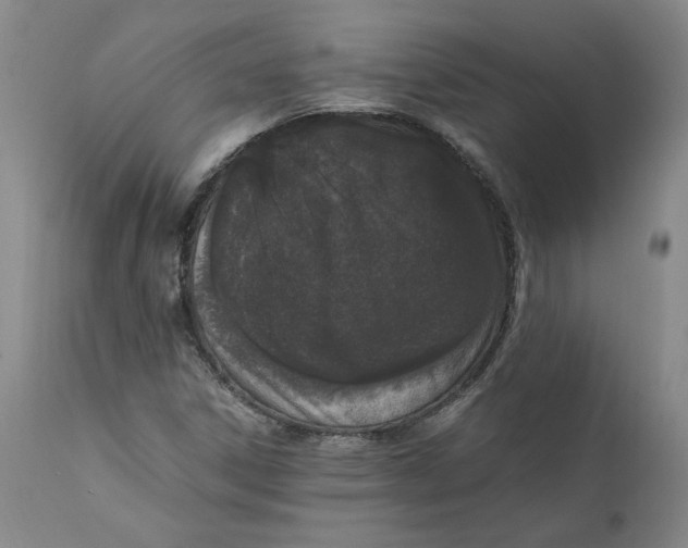 X0000111661306200908071424