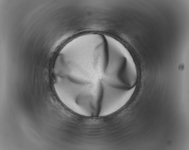 X0000111661307200908071424