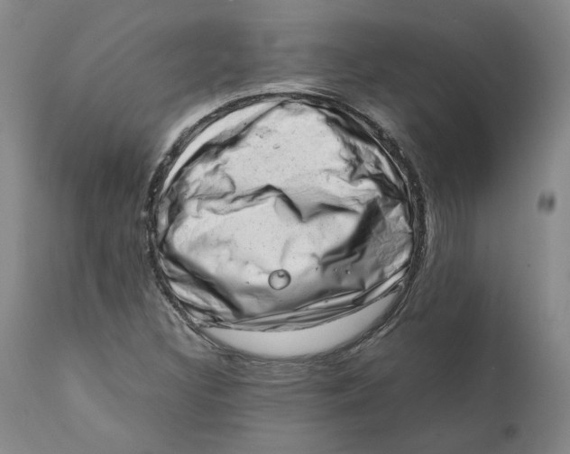 X0000111661308200908071424