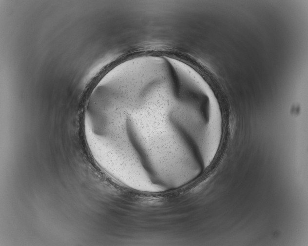 X0000111661309200908071424