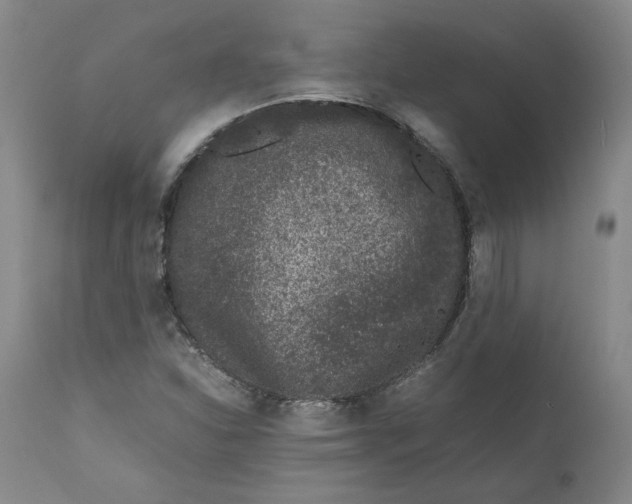 X0000111661310200908071424