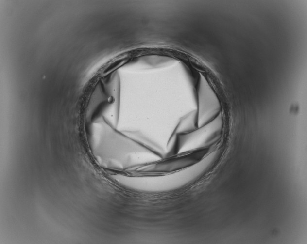 X0000111661311200908071424