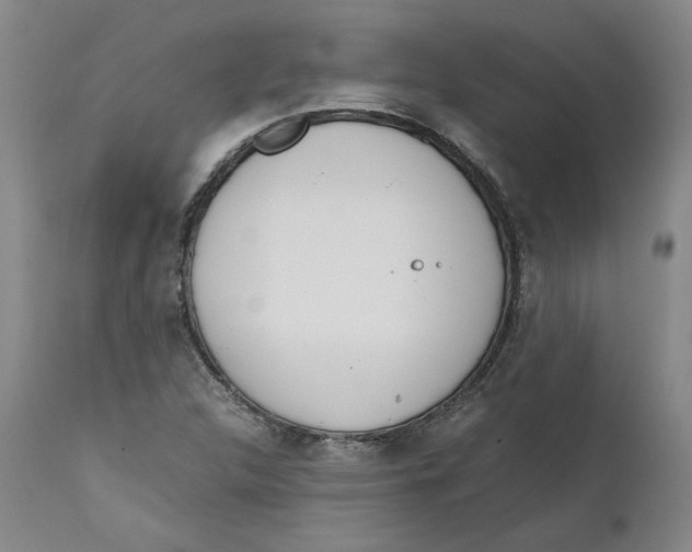 X0000111661312200908071424