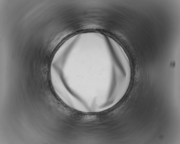 X0000111661313200908071424