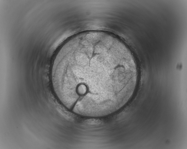 X0000111661314200908071424