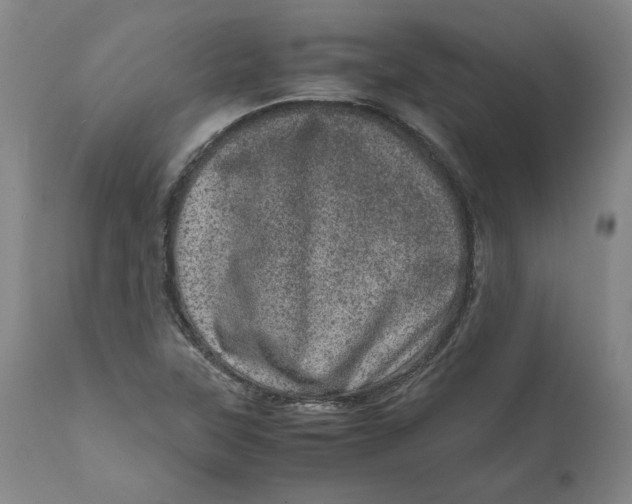 X0000111661315200908071424