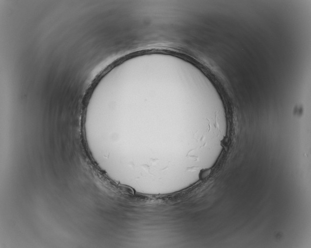 X0000111661316200908071424