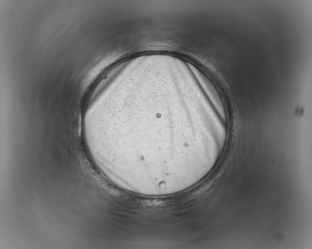 X0000111661317200908071424