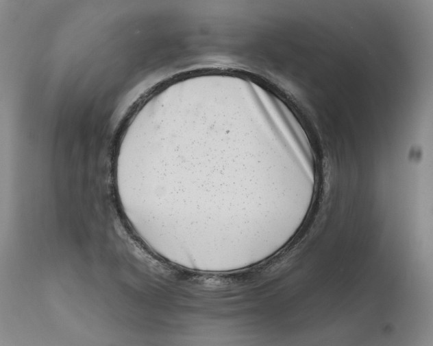 X0000111661318200908071424