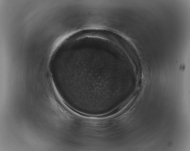 X0000111661319200908071424