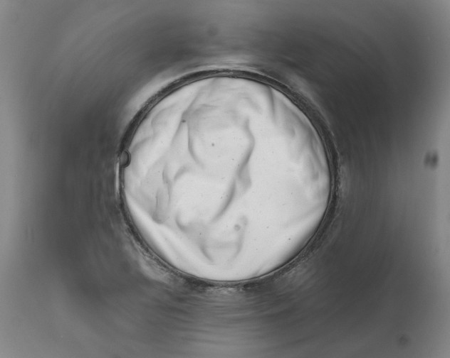 X0000111661320200908071424