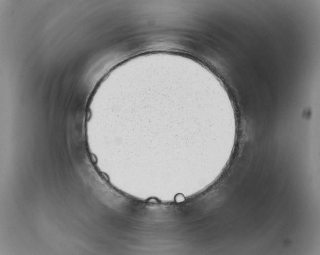 X0000111661322200908071424