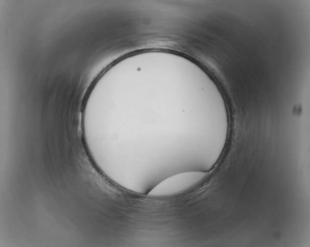 X0000111661324200908071424