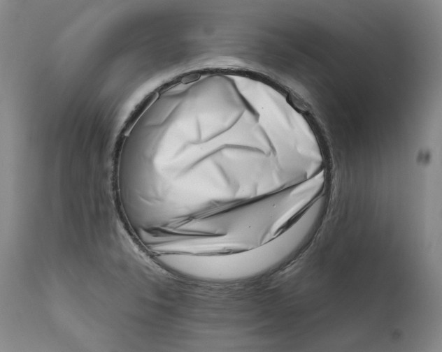 X0000111661326200908071424