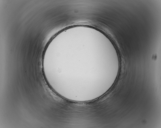 X0000111661328200908071424