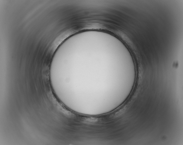 X0000111661329200908071424