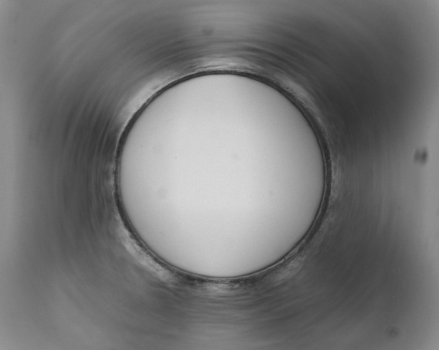 X0000111661330200908071424