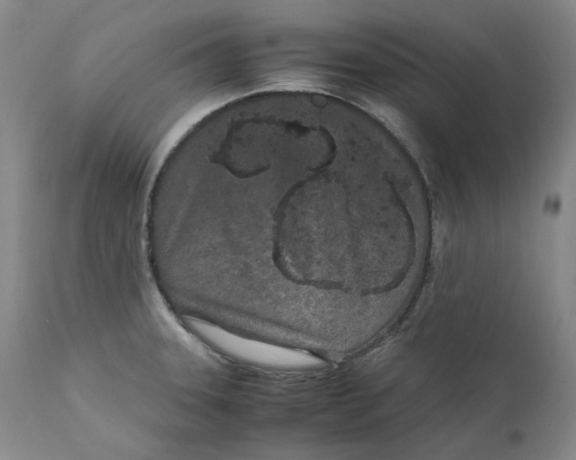 X0000111661331200908071424