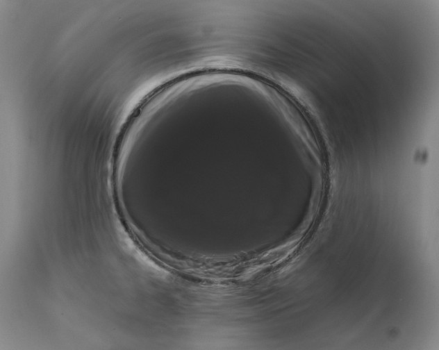 X0000111661334200908071424