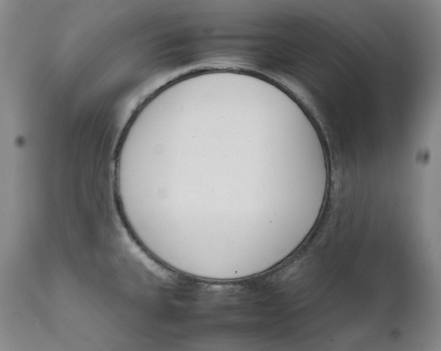 X0000111661335200908071424