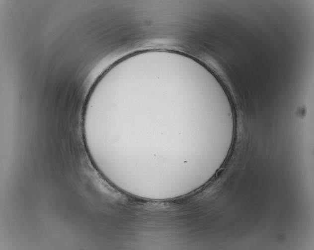 X0000111661336200908071424