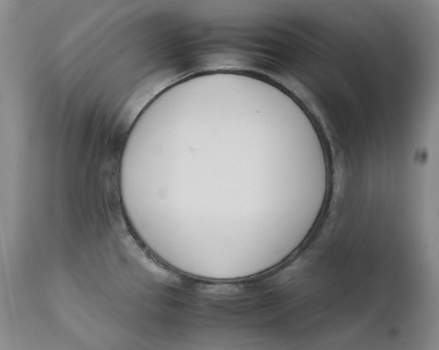 X0000111661337200908071424