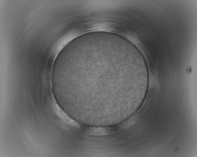 X0000111661338200908071424