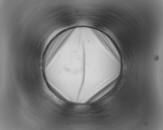 X0000111661339200908071424