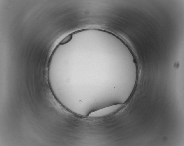 X0000111661340200908071424