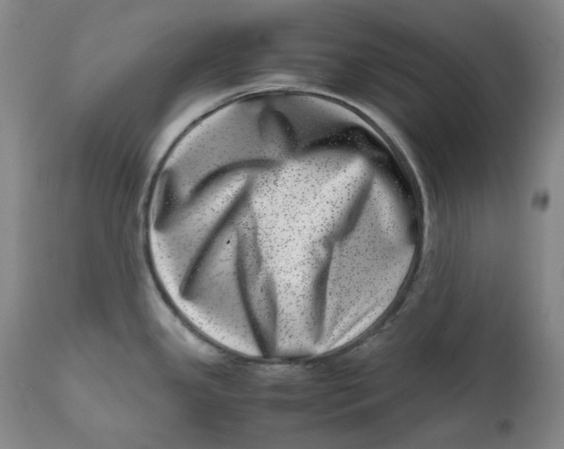 X0000111661341200908071424