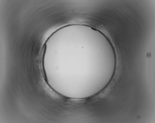 X0000111661344200908071424