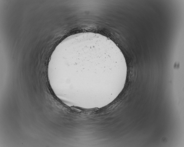 X0000111661345200908071423