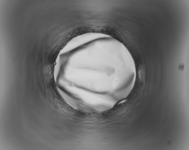 X0000111661347200908071423