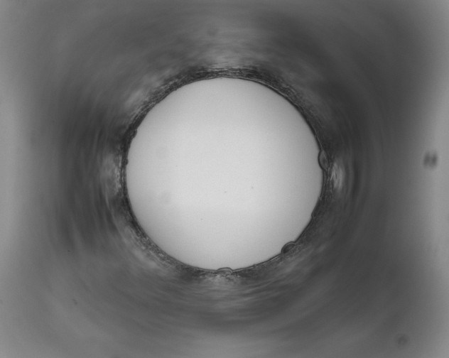 X0000111661348200908071423